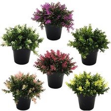 Piante Artificiali Decorazione
