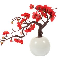  Arredamento Casa Bonsai