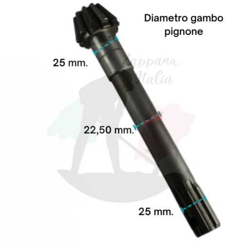 Goldoni pignone fresa 10 - goldoni, 25