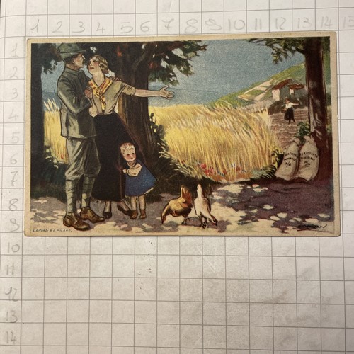Cartolina postale - cartolina,