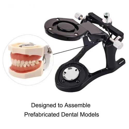 Articolatore magnetico dentale