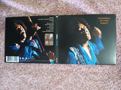 Jimi hendrix in the - -,