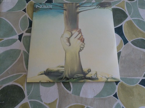 Nomadi noi 2xlp m - noi, m/m
