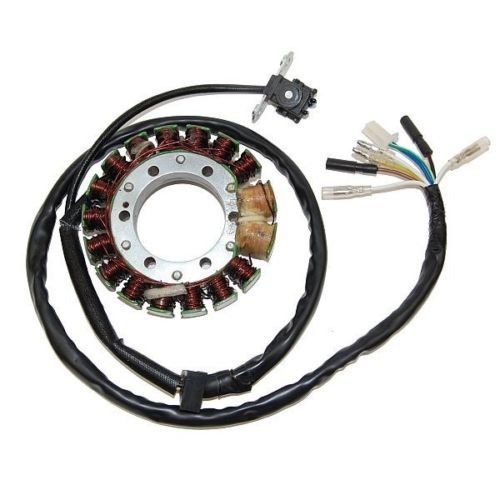 Electrosport statore - electrosport,
