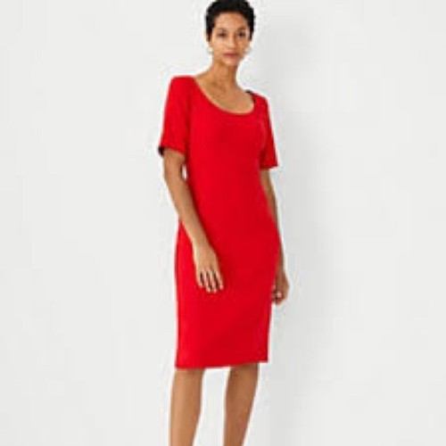 Ann taylor nwot scoop - taylor, neck