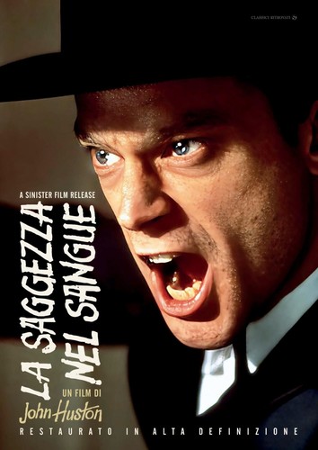 Dvd nuovo saggezza - -,