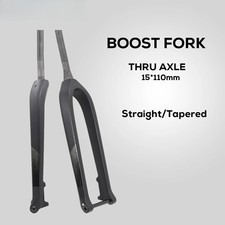 Forcella anteriore freno a