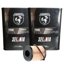 4 LITRI SELENIA PETRONAS