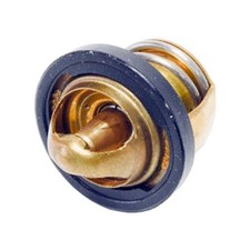 TERMOSTATO ACQUA MA02302