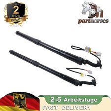 2 molle a gas portellone