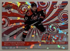 Matthew Savoie Rookie 2023-24
