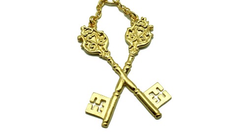 Treasurer collar jewel - ,