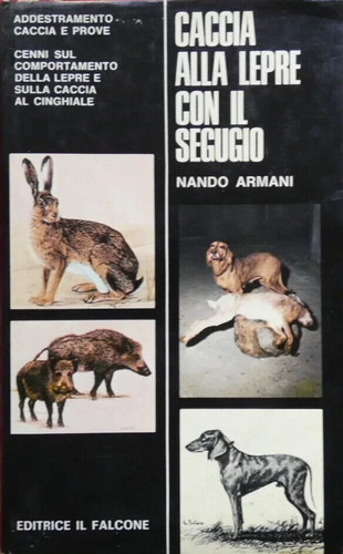 Caccia alla lepre con - alla, il