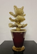 Pianta Grassa Napoleone