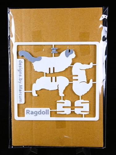 Gatto ragdoll kit card - gatto,