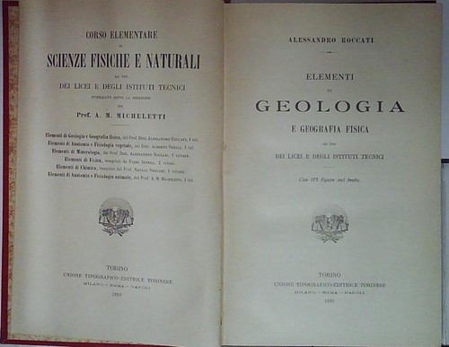 Roccati a elementi - roccati,