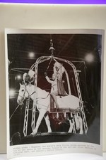 Foto 8x10 BW del 1971 foto