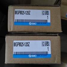 Cilindro SMC MGPM25-125Z 1 PZ