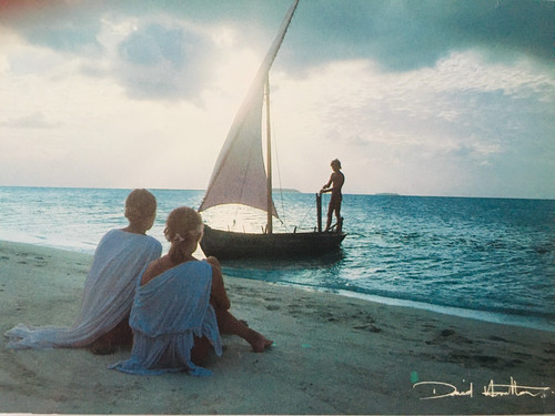 Carte postale david hamilton - carte,