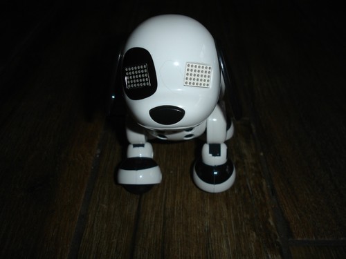 Zoomer zupps zuppies - zuppies, pets
