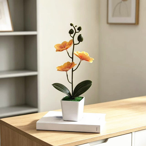 Bonsai magnolia finta con 3 - magnolia,