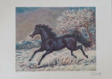 Giovan Francesco Gonzaga