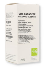 Vite Canadese Mg10% Oti 100ml