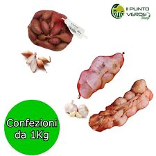 AGLIO TRECCIA SCALOGNO