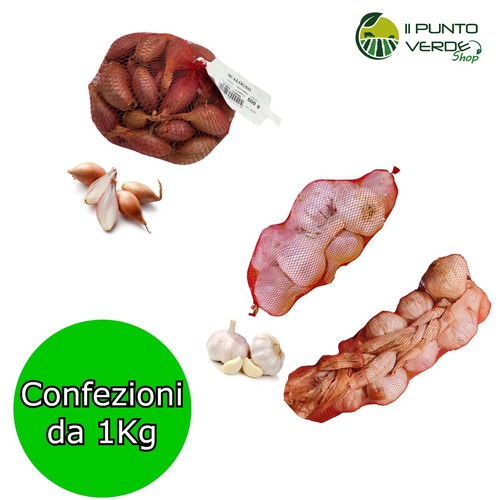 Aglio treccia scalogno - treccia,