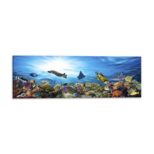 Quadro Stampa su Tela con
