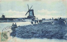 Koog aan de Zaan Noord-Holland
