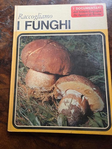 Raccogliamo funghi i - -,