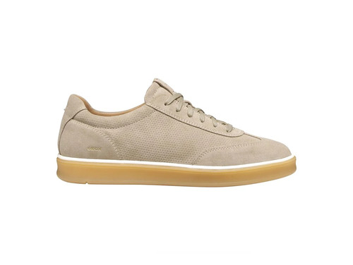 Geox uomo sneakers - geox,