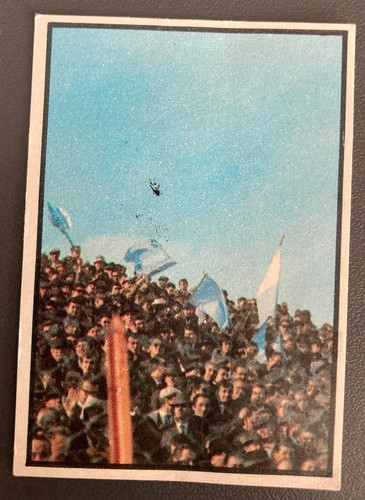 Tifosi brescia calciatori - tifosi,
