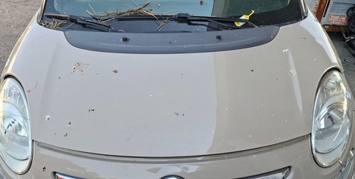 1689787180 cofano ant fiat - cofano,