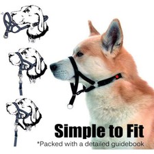 Guinzaglio di sicurezza per