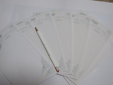 Memo Pencil Disney Florida