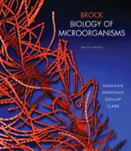 Biology microorganisms by - biology,