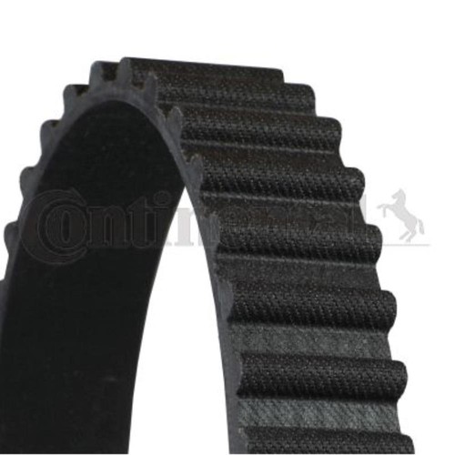 Cinghia distribuzione - cinghia,