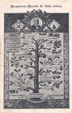 PERGAMENA RICORDO DI FESTA INTIMA - Albero Genealogico su Cartoncino 1906 Torino