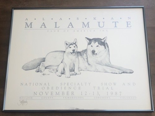 Alaskan malamute scott - "alaskan,