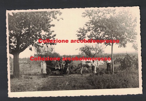 Foto storica coccapane - storica,, anno