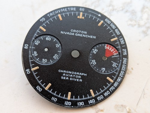 Croton nivada grenchen - croton,