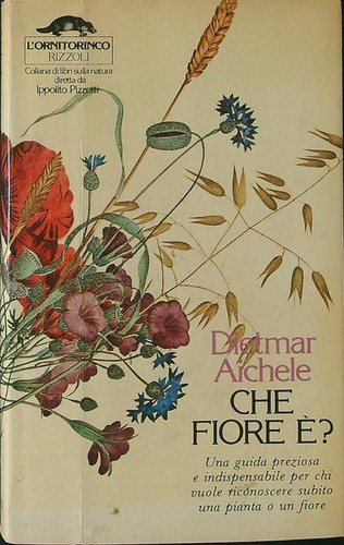 Che fiore aichele dietmar - che,