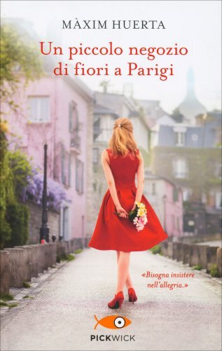 Libro piccolo negozio di - libro,