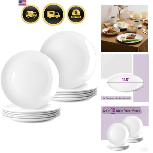 Btat piatti pranzo - piatti, da