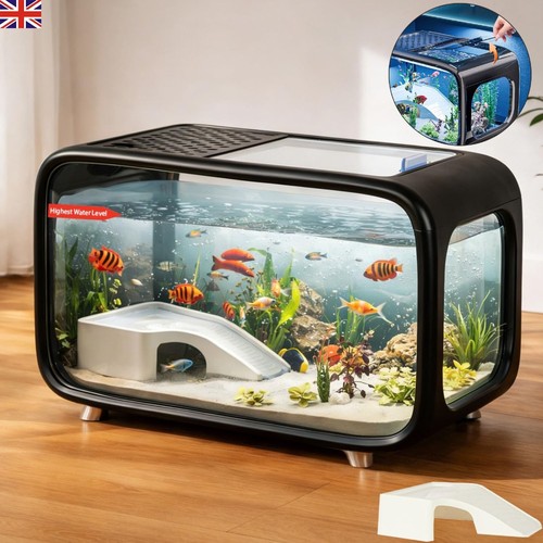 Compact betta fish - compact, kit