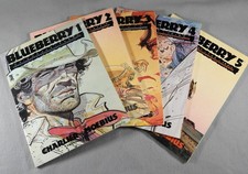 Blueberry 4 5 set - blueberry,