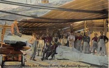 Bangor Pennsylvania Old Bangor Quarry Blocks for Roofing Slate PC AA67085