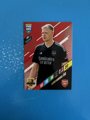 2024 panini fifa 365 - fifa,